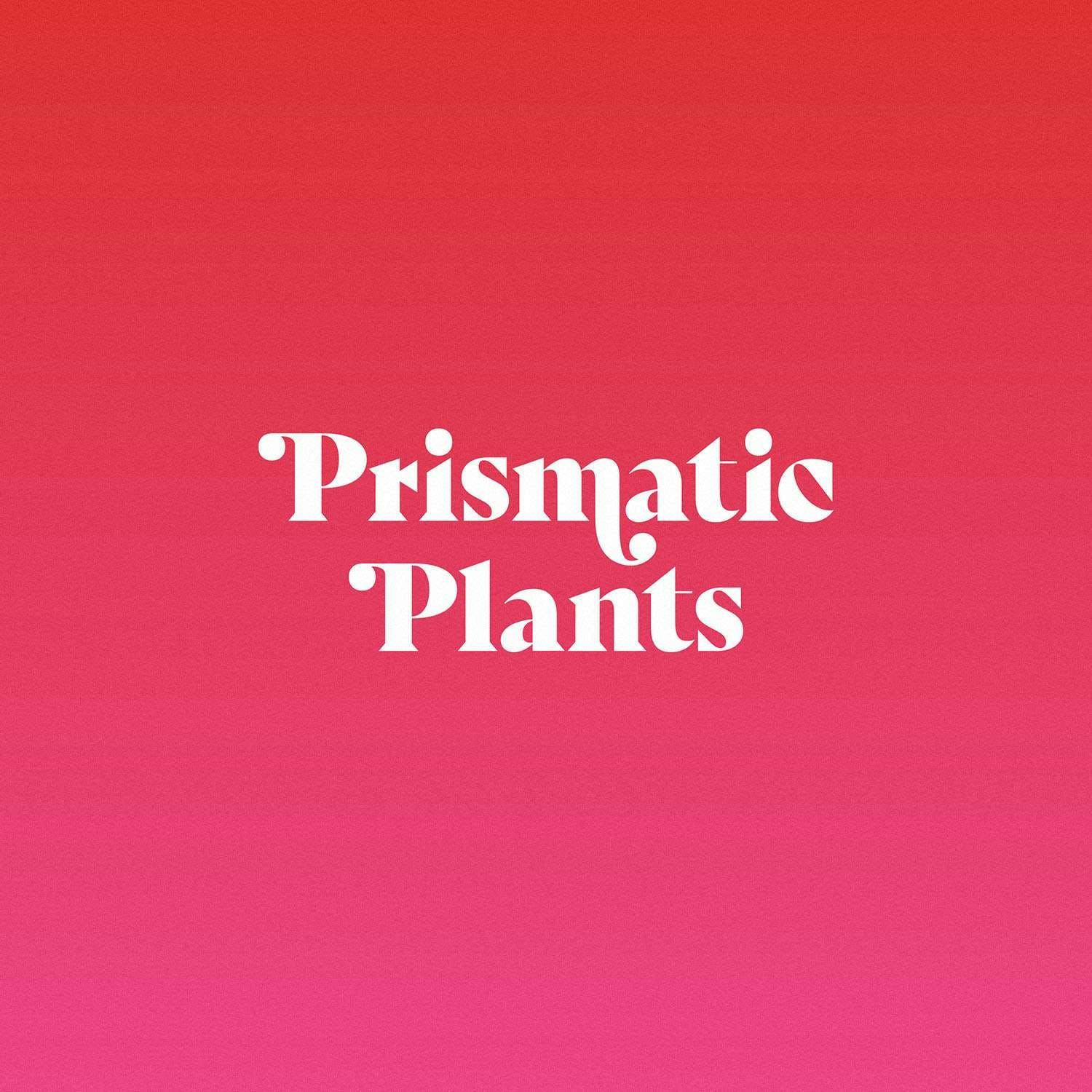 Prismatic Plants - Brand Identity, Packaging Design, Illustration, and Website Design
